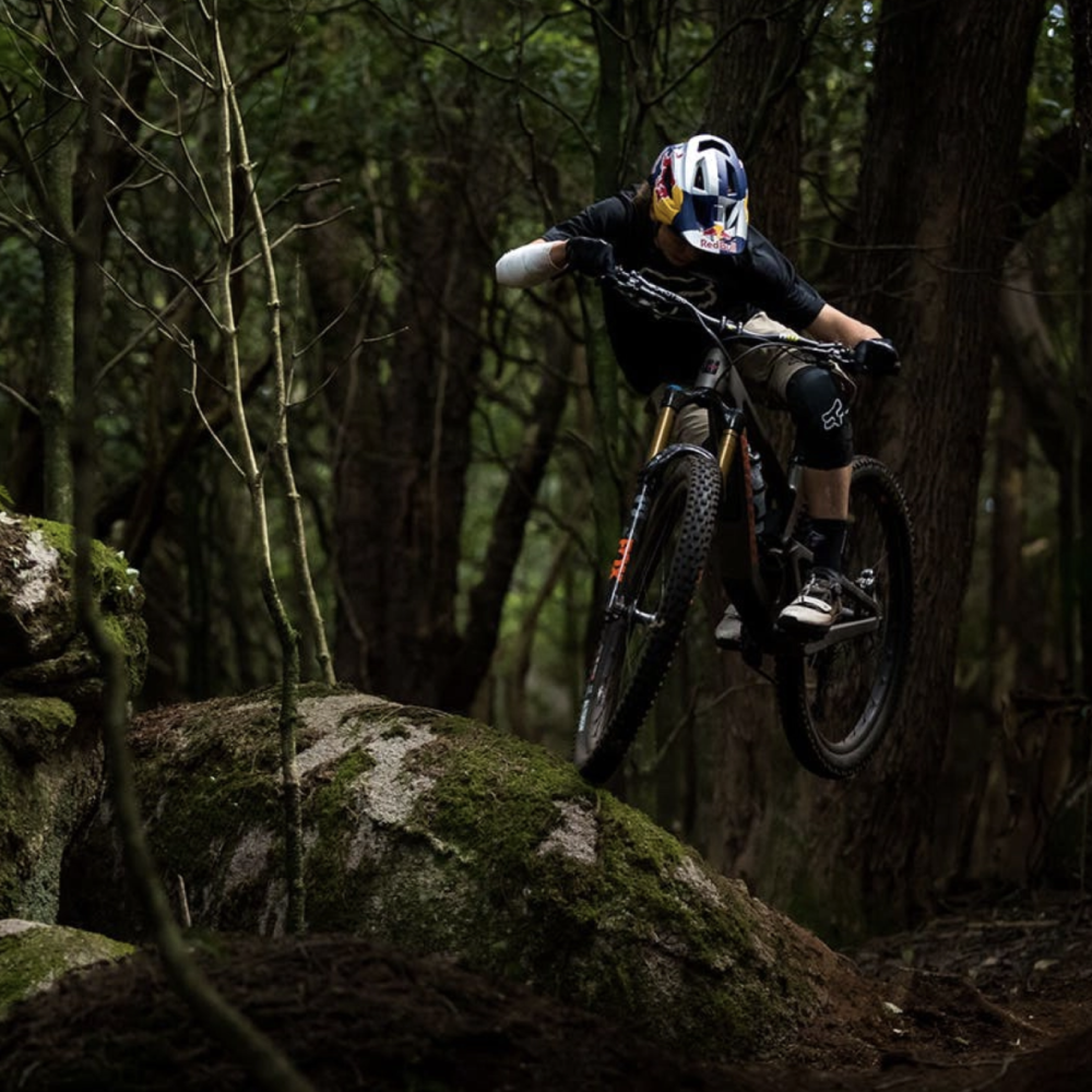 Santa Cruz Enduro Y DH