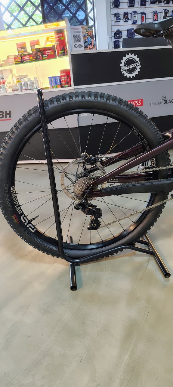 Bicicleta Demo Santa Cruz V10