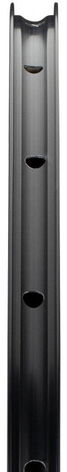 Aro Dt Swiss Ruta Rr460 Db