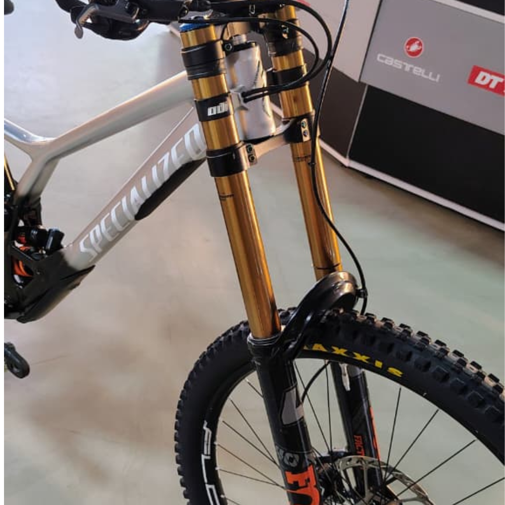 Bicicleta Demo Specialized Experts DH