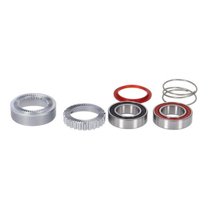 Kit De Servicio Dt Swiss Ruta/Mtb Ratche