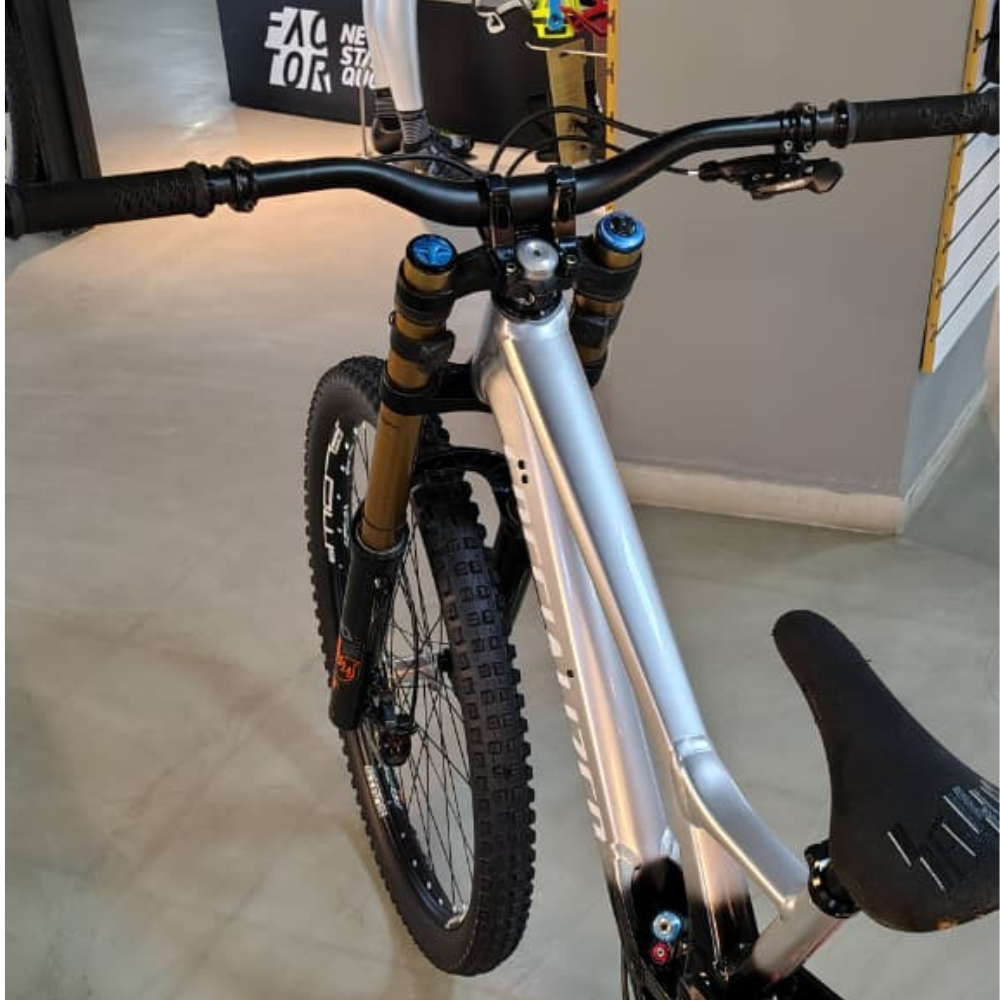 Bicicleta Demo Specialized Experts DH