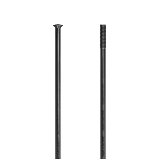 Radios Dt Swiss J Bend Champion 2.0
