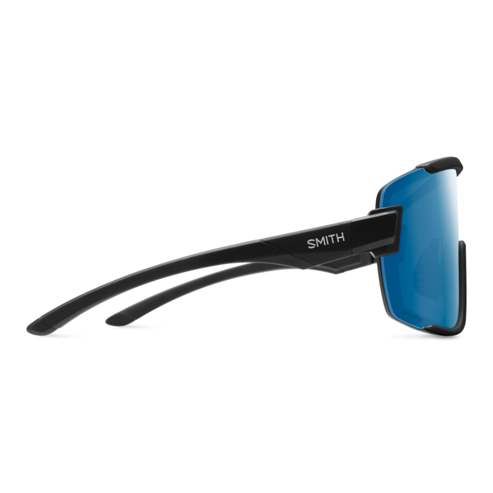 Gafas Smith Wildcat