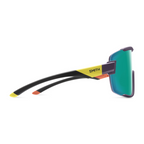 Gafas Smith Wildcat