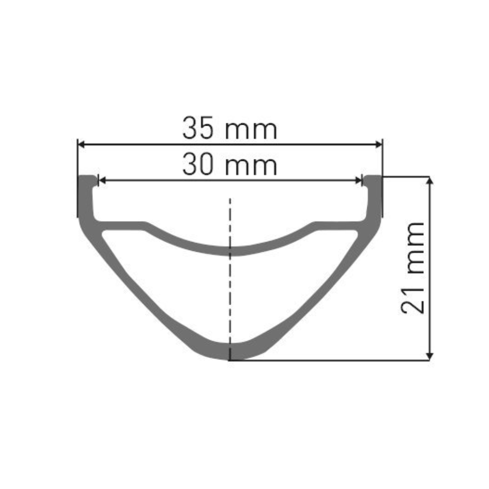 Rueda Delantera Dt Swiss Mtb Fr 1500 29 15*110 30mm Int