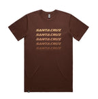Camiseta Santa Cruz Faded Tee Brown vista frontal.
